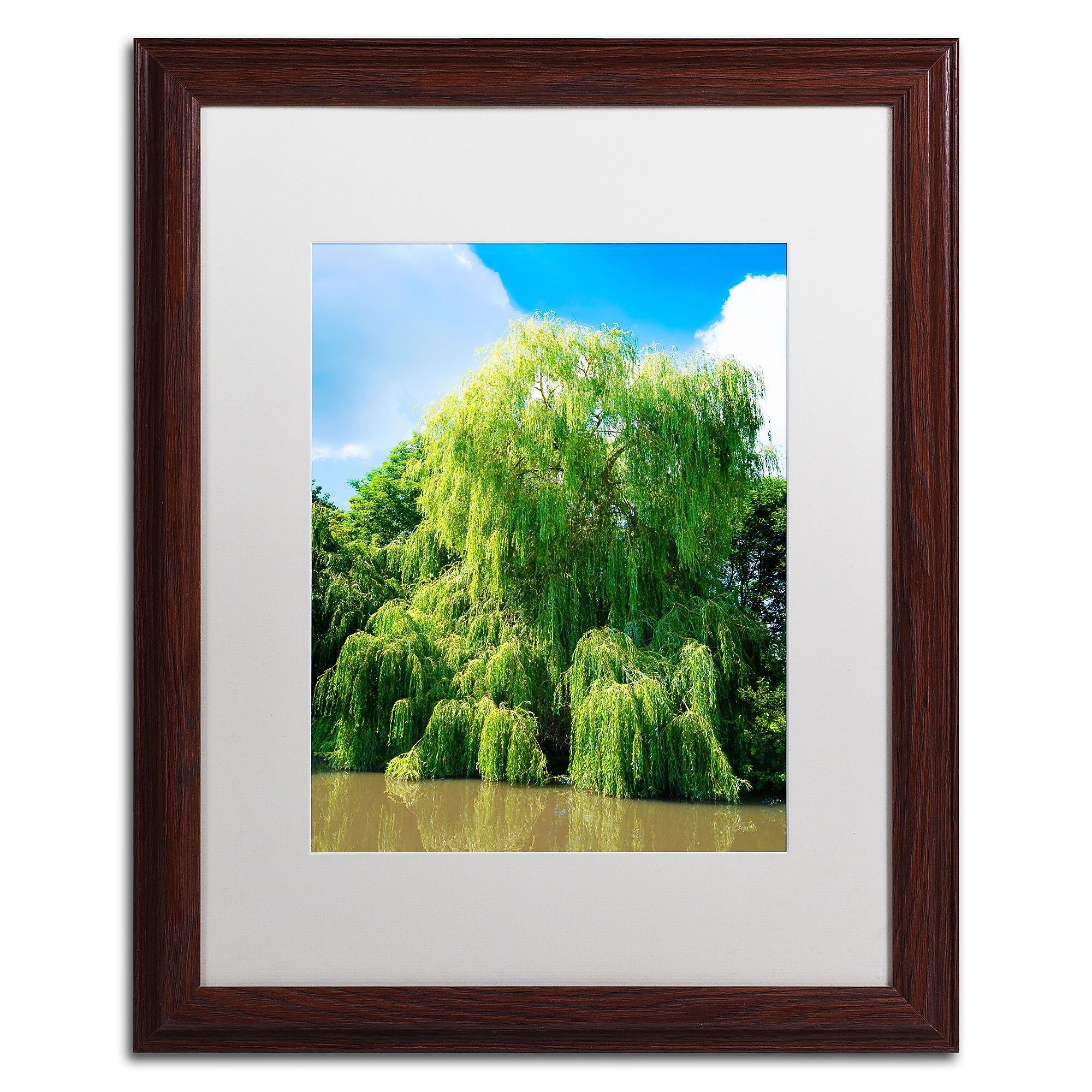 Trademark Fine Art PSL0329-W1620MF Weeping Willow by Philippe Sainte-Laudy 20x16 FRM Art, WHT MTD