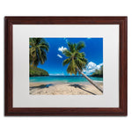 Trademark Fine Art RV0020-W1620MF "Martinique" by Mathieu Rivrin 16" x 20" Framed Art, White Matted