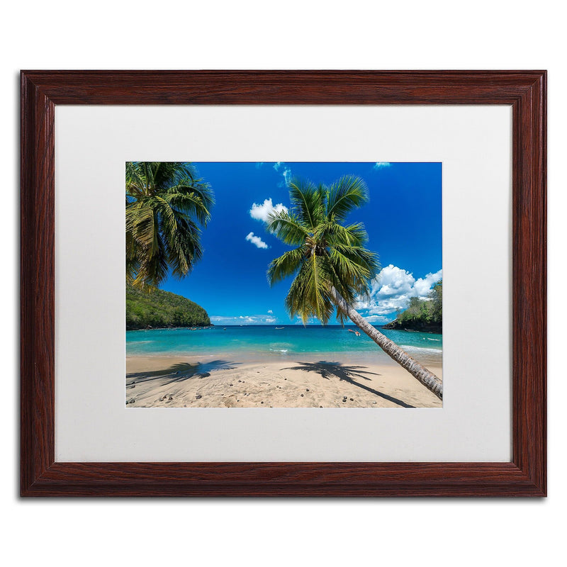 Trademark Fine Art RV0020-W1620MF "Martinique" by Mathieu Rivrin 16" x 20" Framed Art, White Matted