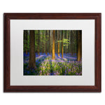 Trademark Fine Art RV0021-W1620MF "Mystical Forest" by Mathieu Rivrin 16" x 20" Framed Art, WHT MTD