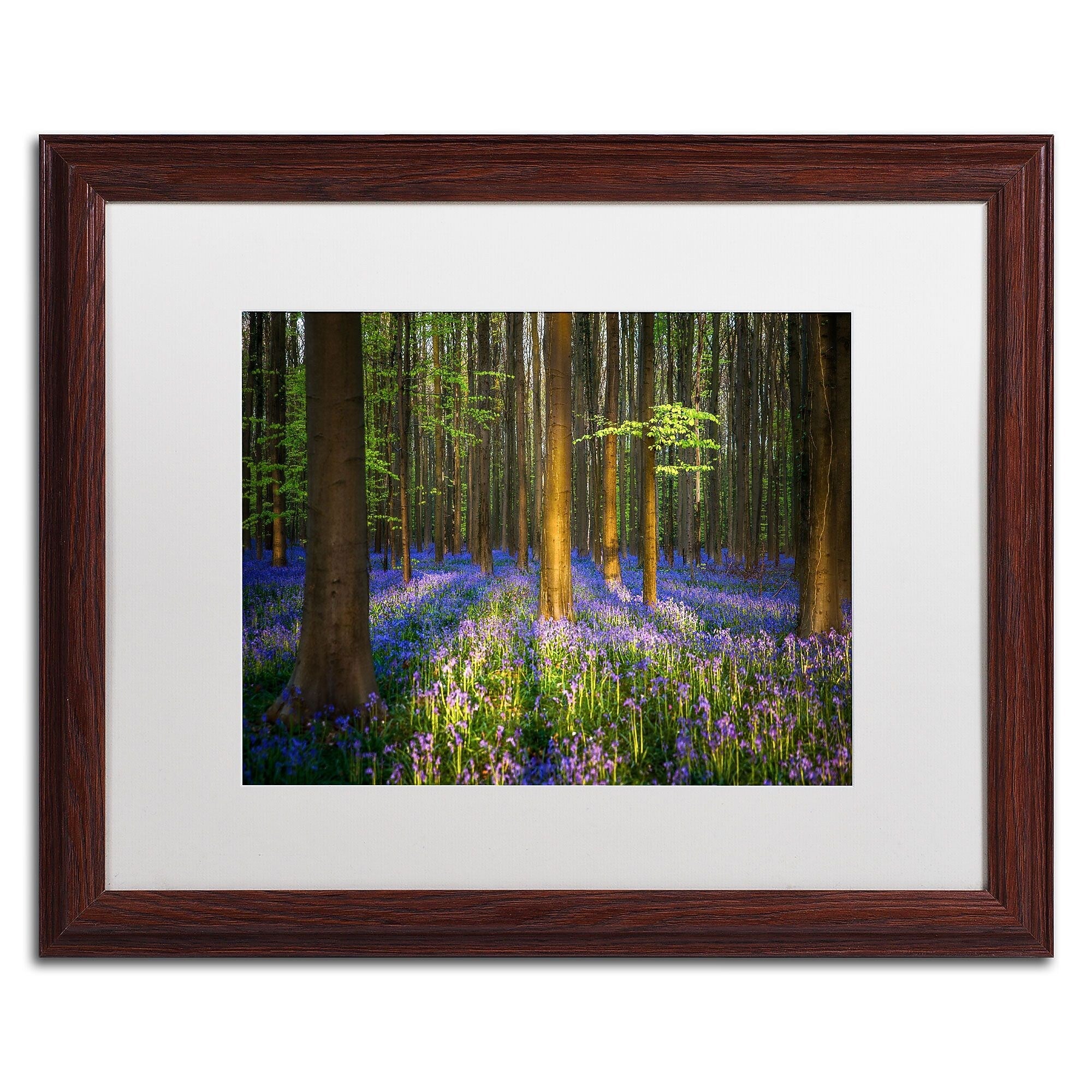 Trademark Fine Art RV0021-W1620MF "Mystical Forest" by Mathieu Rivrin 16" x 20" Framed Art, WHT MTD