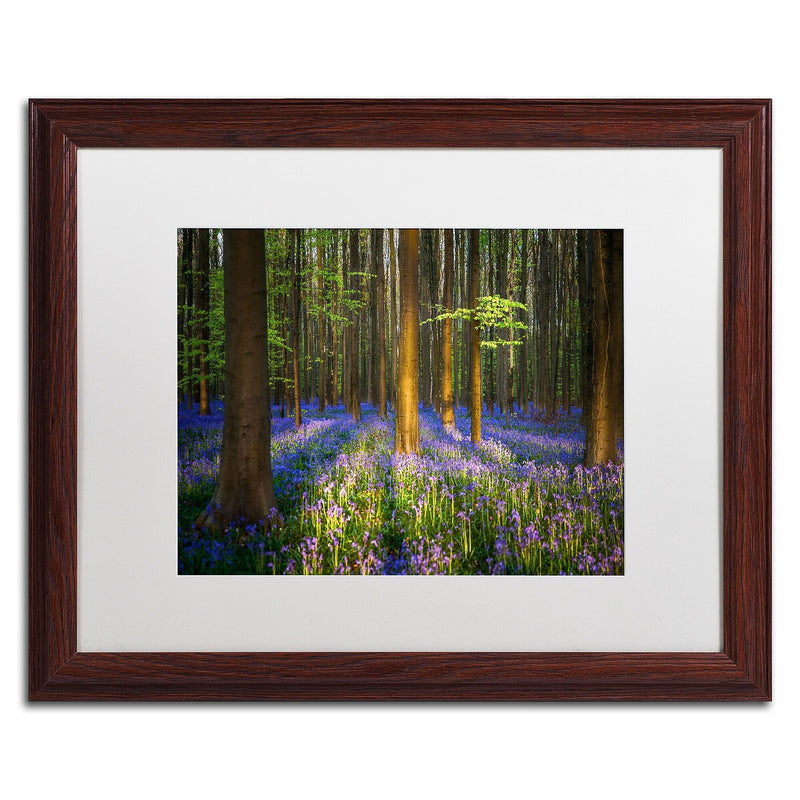 Trademark Fine Art RV0021-W1620MF "Mystical Forest" by Mathieu Rivrin 16" x 20" Framed Art, WHT MTD