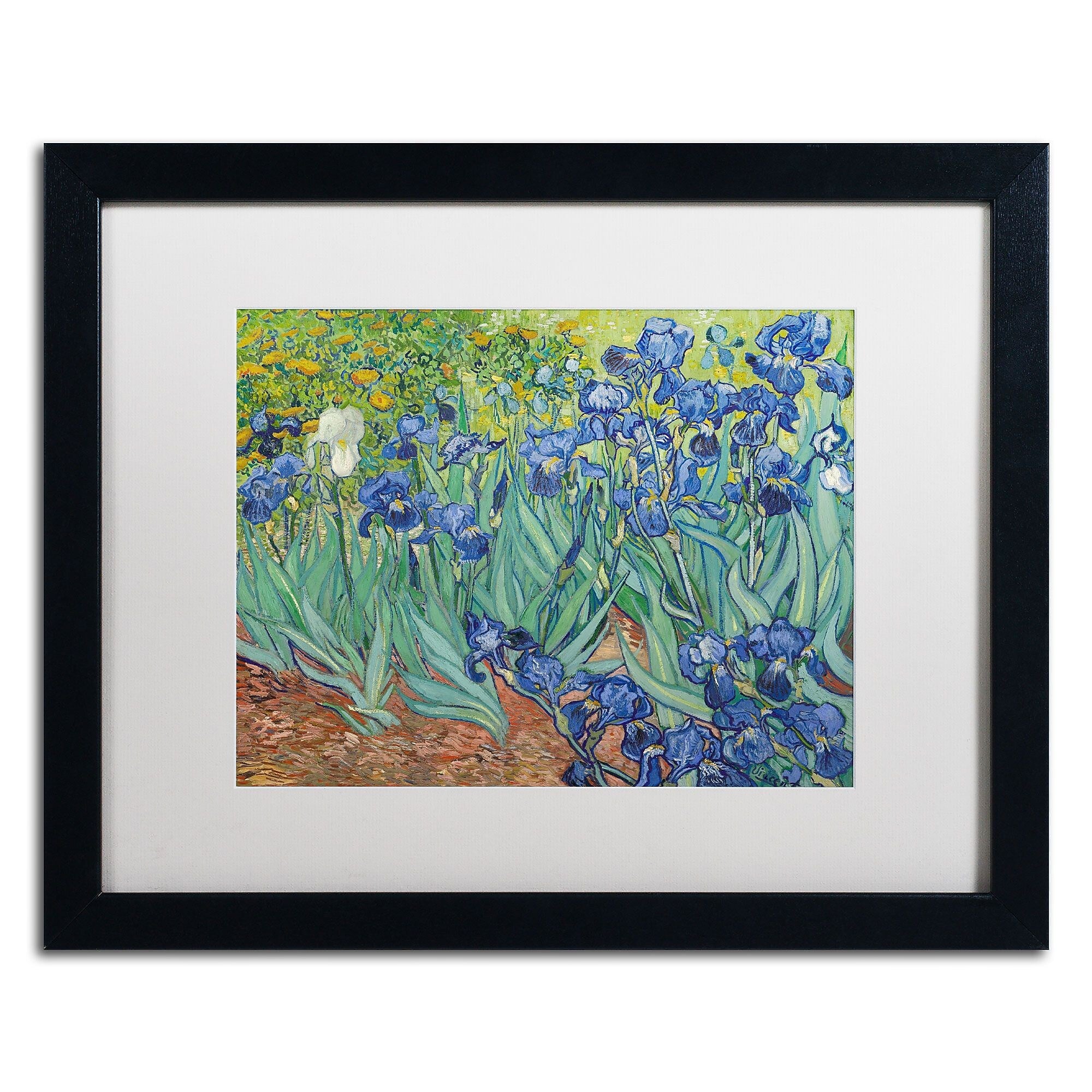 Trademark Fine Art BL0317-B1620MF "Irises, 1889" by Vincent van Gogh 16" x 20" Framed Art, WHT MTD
