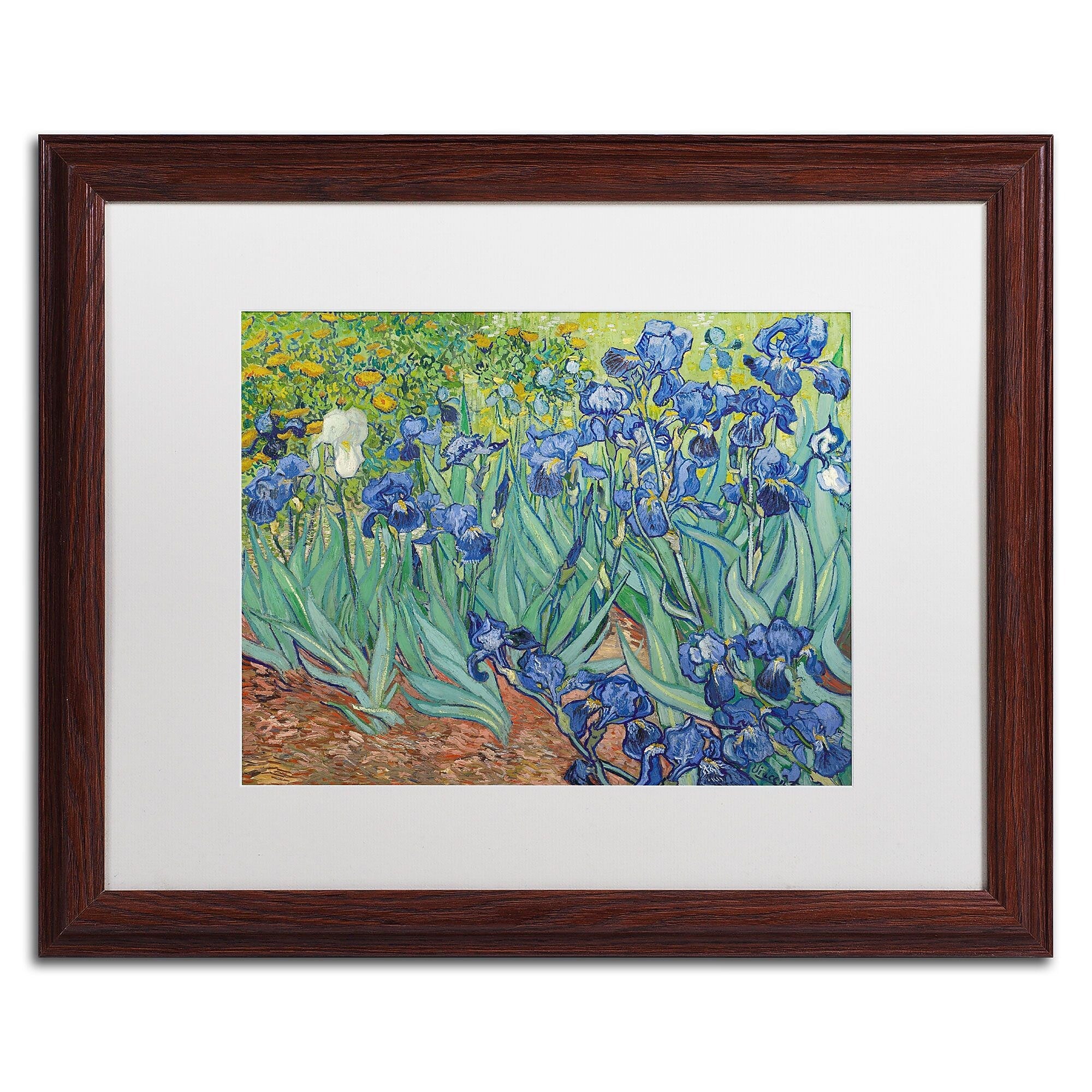 Trademark Fine Art BL0317-W1620MF "Irises, 1889" by Vincent van Gogh 16" x 20" Framed Art, WHT MTD