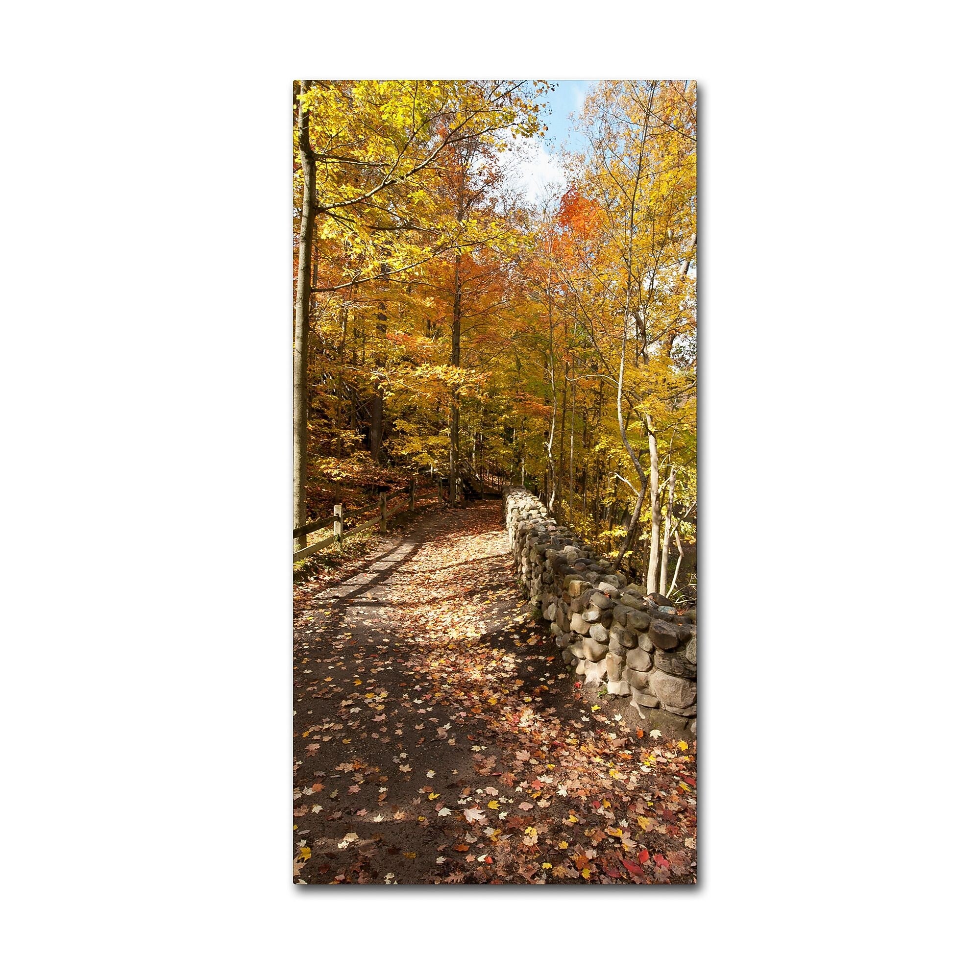 Trademark Fine Art KS0134-C1632GG "Beautiful Autumn Hike" by Kurt Shaffer 16" x 32" Frameless Art