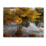 Trademark Fine Art KS0135-C3547GG Kendal Lake Autumn Reflection by Kurt Shaffer 35x47 FRMLS Art
