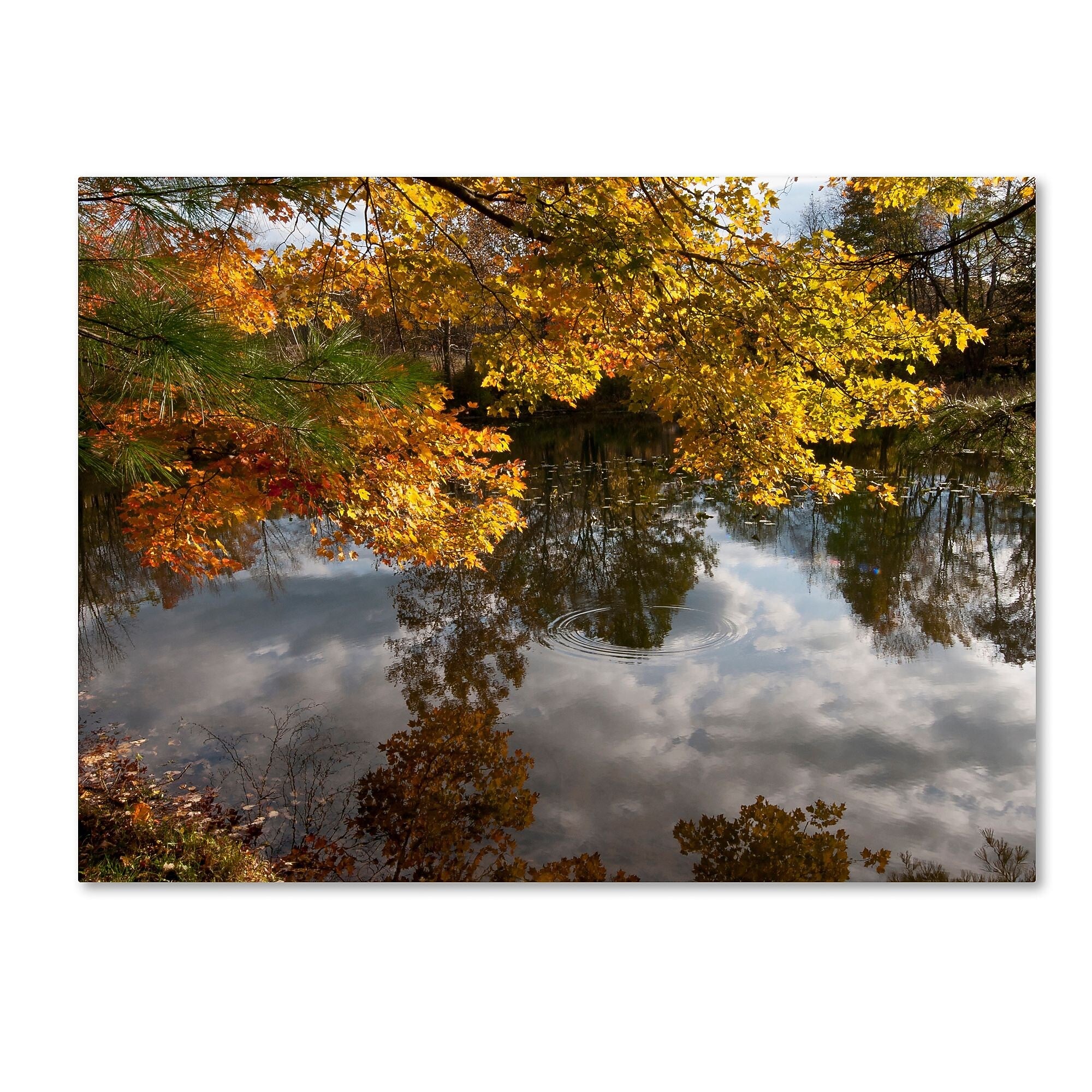 Trademark Fine Art KS0135-C3547GG Kendal Lake Autumn Reflection by Kurt Shaffer 35x47 FRMLS Art
