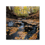 Trademark Fine Art KS0140-C3535GG "Lakeview Autumn Falls" by Kurt Shaffer 35" x 35" Frameless Art
