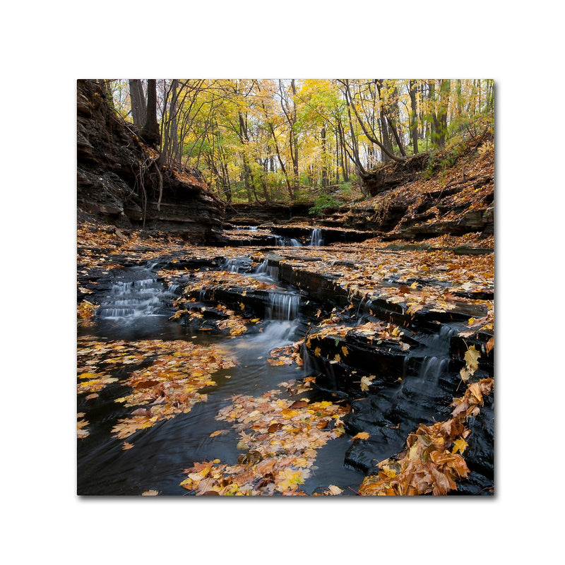 Trademark Fine Art KS0140-C3535GG "Lakeview Autumn Falls" by Kurt Shaffer 35" x 35" Frameless Art
