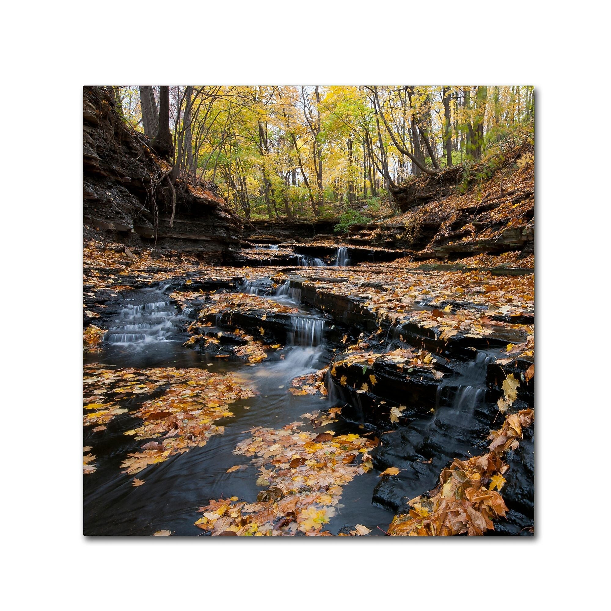Trademark Fine Art KS0140-C2424GG "Lakeview Autumn Falls" by Kurt Shaffer 24" x 24" Frameless Art