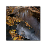 Trademark Fine Art KS0141-C2424GG "Lakeview Autumn Waterfall #2" by Kurt Shaffer 24" x 24" FRMLS Art