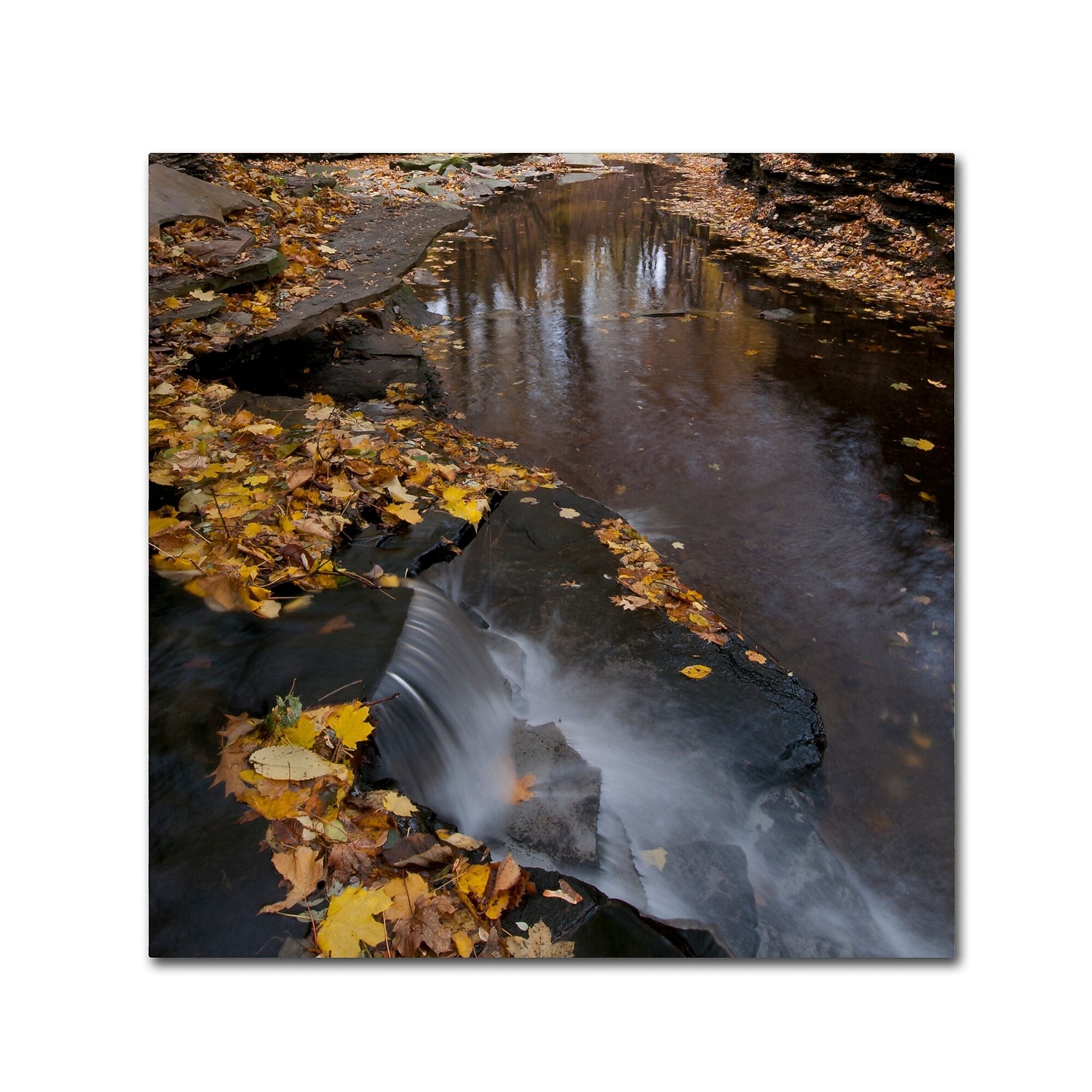 Trademark Fine Art KS0141-C1818GG "Lakeview Autumn Waterfall #2" by Kurt Shaffer 18" x 18" FRMLS Art