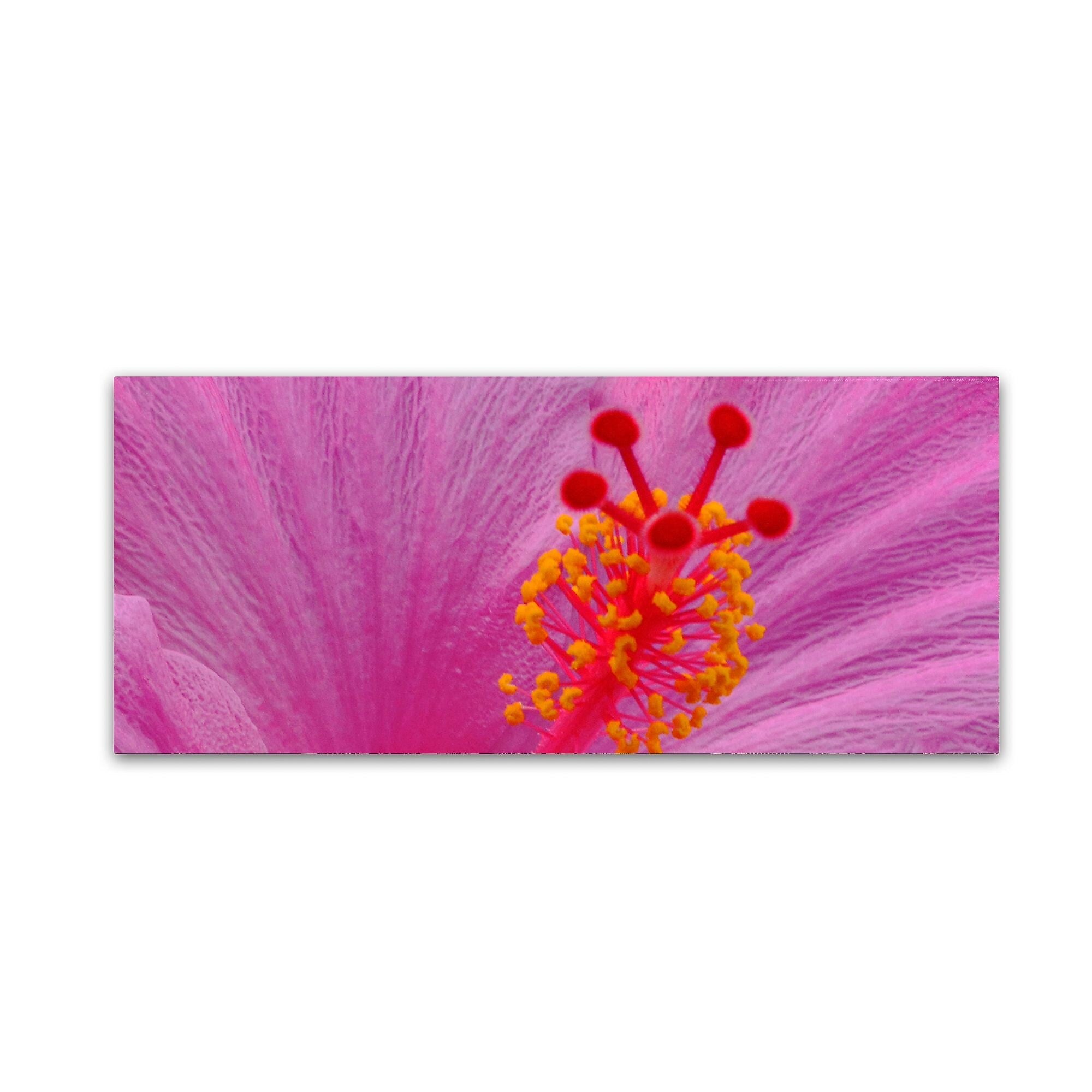 Trademark Fine Art KS0159-C2047GG "Pink Hibiscus Abstract" by Kurt Shaffer 20" x 47" Frameless Art
