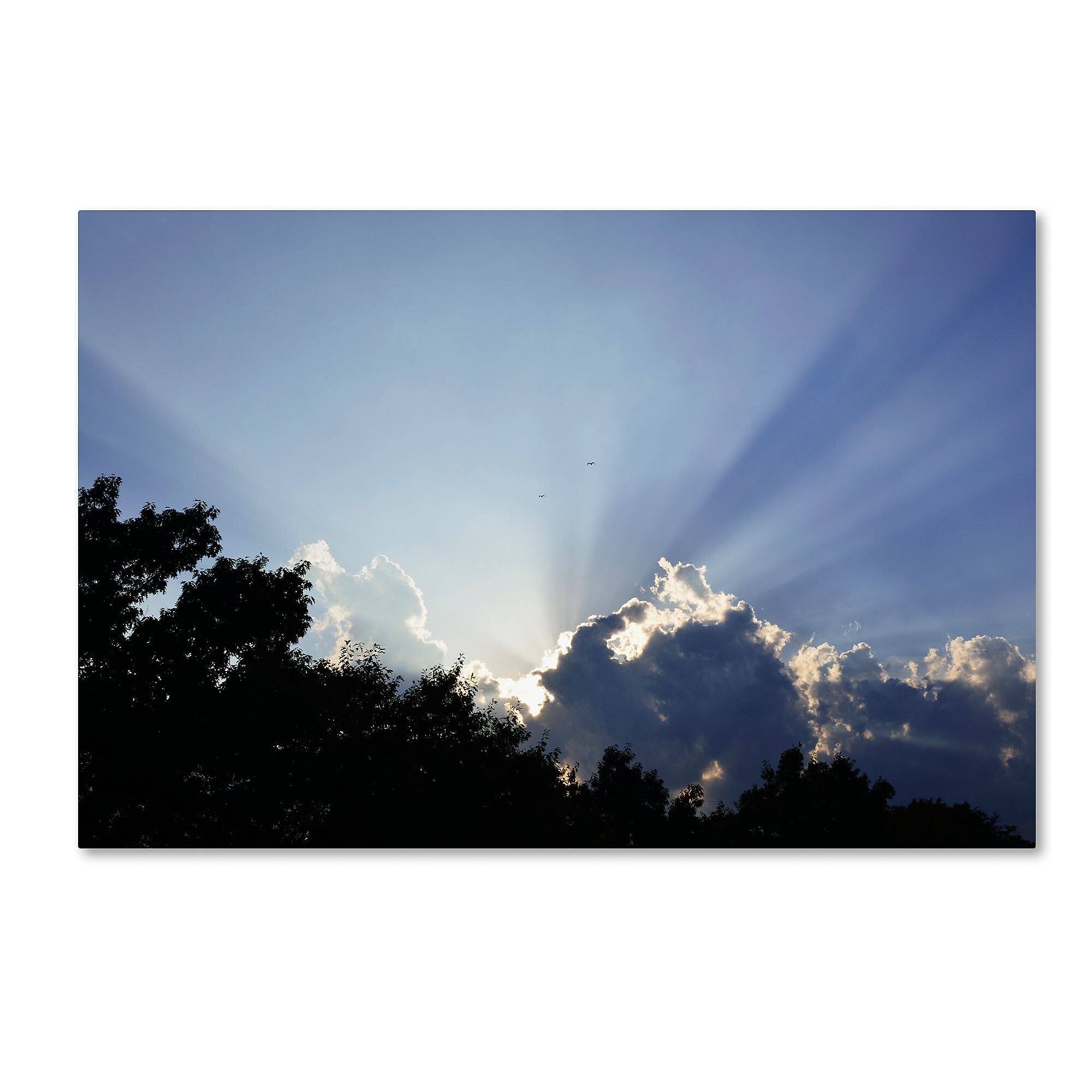 Trademark Fine Art KS0167-C1219GG "Inspirational Sky" by Kurt Shaffer 12" x 19" Frameless Art