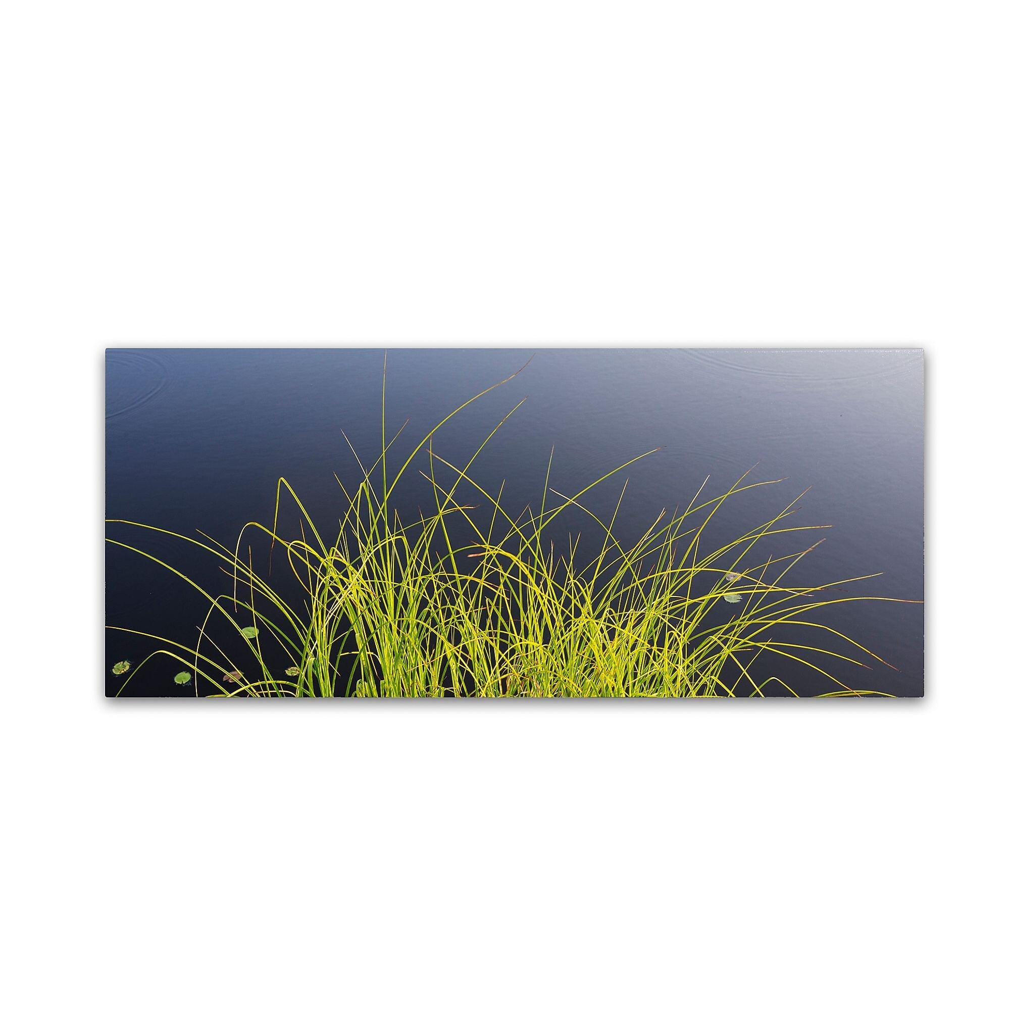 Trademark Fine Art KS0171-C819GG "Pond Grass Abstract" by Kurt Shaffer 8" x 19" Frameless Art