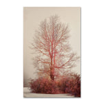 Trademark Fine Art LBR0238-C1219GG "A-Blush in the Fog" by Lois Bryan 19" x 12" Frameless Art