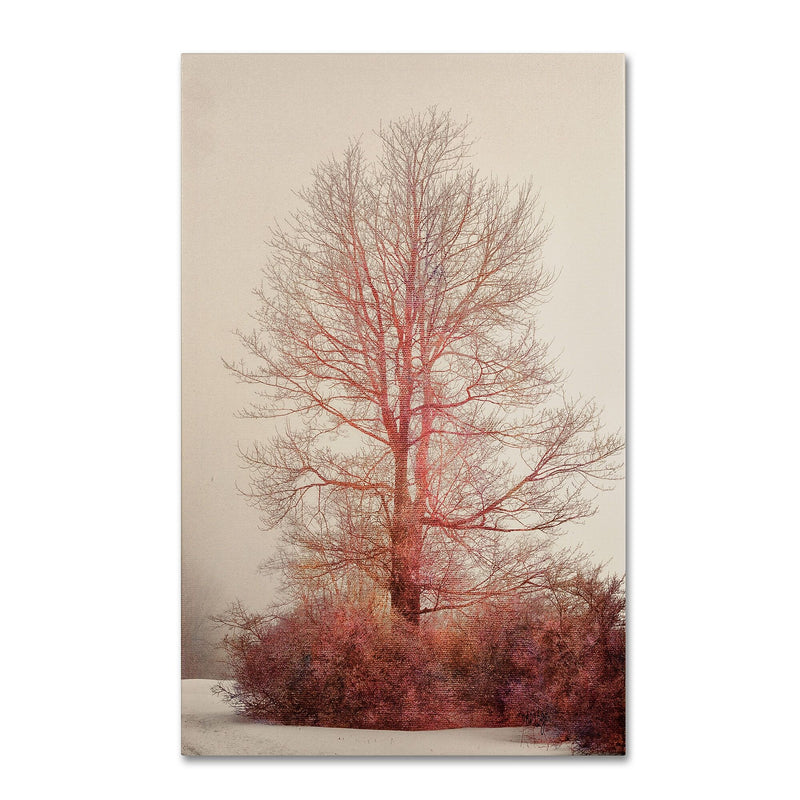 Trademark Fine Art LBR0238-C1219GG "A-Blush in the Fog" by Lois Bryan 19" x 12" Frameless Art