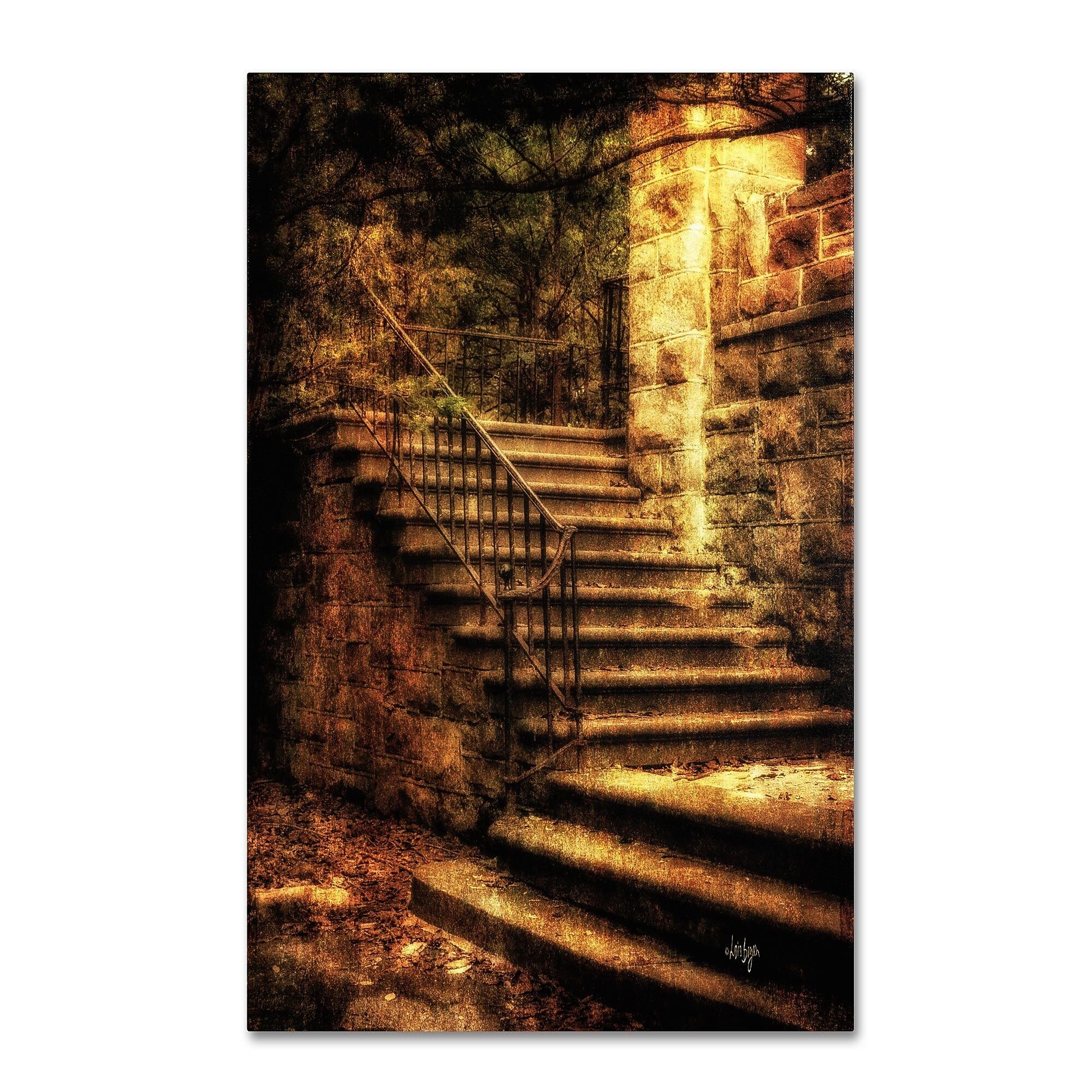 Trademark Fine Art LBR0239-C2232GG "Abandoned Stone Staircase" by Lois Bryan 32" x 22" Frameless Art