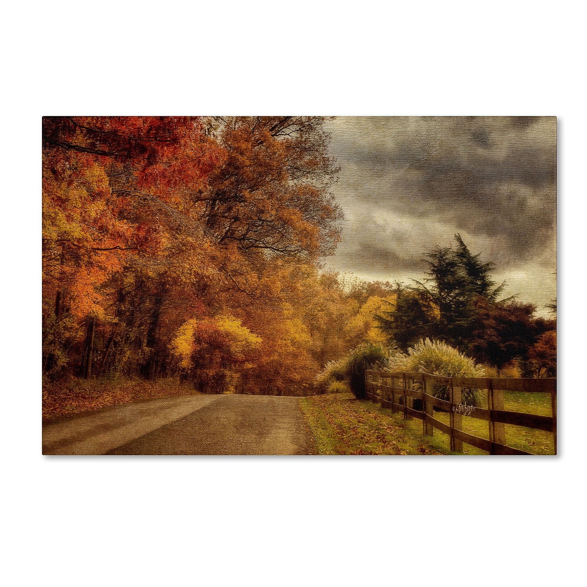 Trademark Fine Art And the Seasons They Go Round and Round by Lois Bryan 12x19 FRMLS Art
