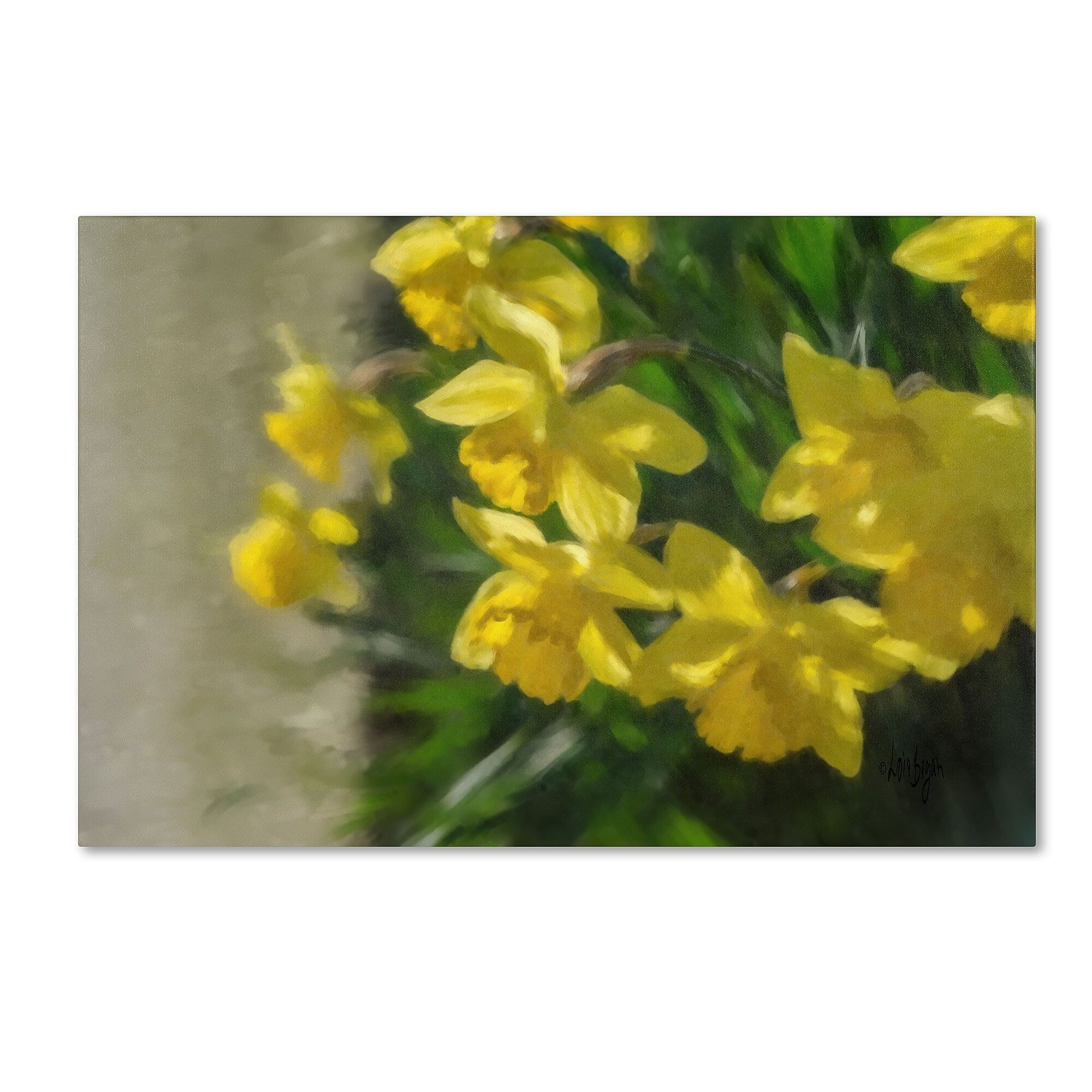 Trademark Fine Art LBR0246-C1219GG "Daffodils Peeking" by Lois Bryan 12" x 19" Frameless Art