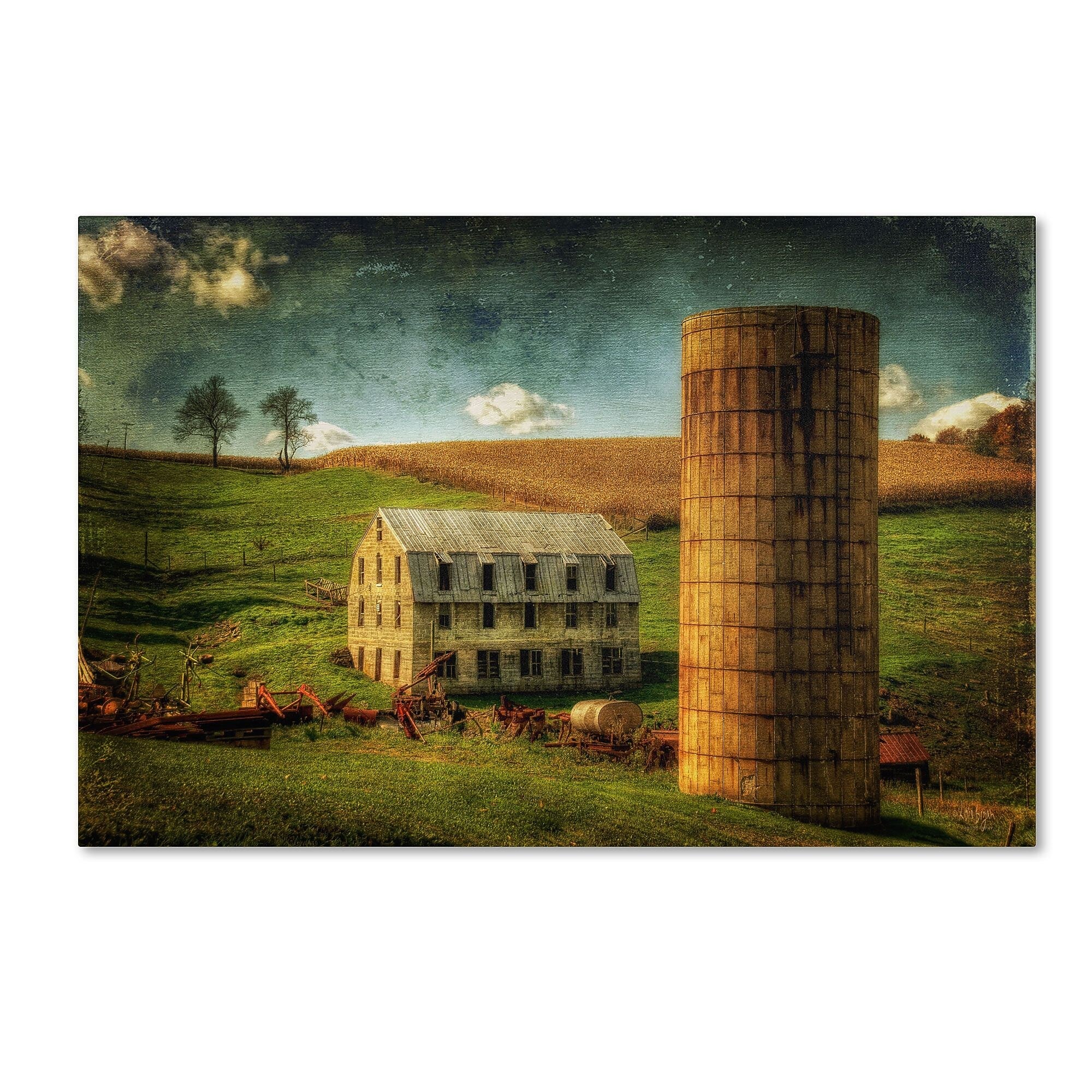 Trademark Fine Art LBR0265-C1219GG "His Pride and Joy" by Lois Bryan 12" x 19" Frameless Art