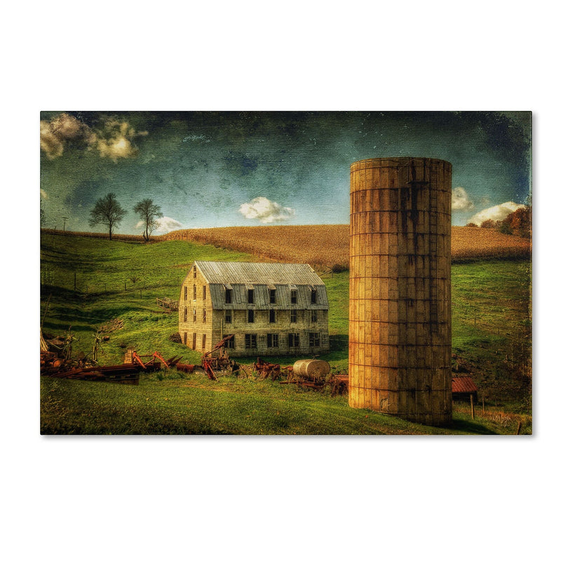Trademark Fine Art LBR0265-C1219GG "His Pride and Joy" by Lois Bryan 12" x 19" Frameless Art