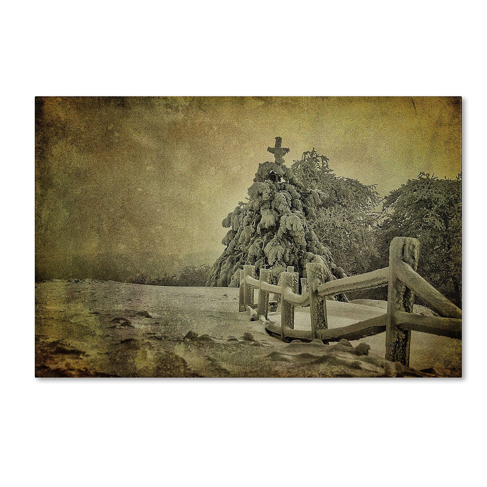 Trademark Fine Art LBR0272-C2232GG "Oh Christmas Tree" by Lois Bryan 22" x 32" Frameless Art