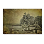 Trademark Fine Art LBR0272-C3047GG "Oh Christmas Tree" by Lois Bryan 30" x 47" Frameless Art