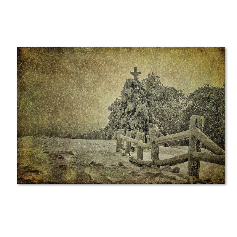 Trademark Fine Art LBR0273-C1624GG "Oh Christmas Tree in Snow" by Lois Bryan 16" x 24" Frameless Art