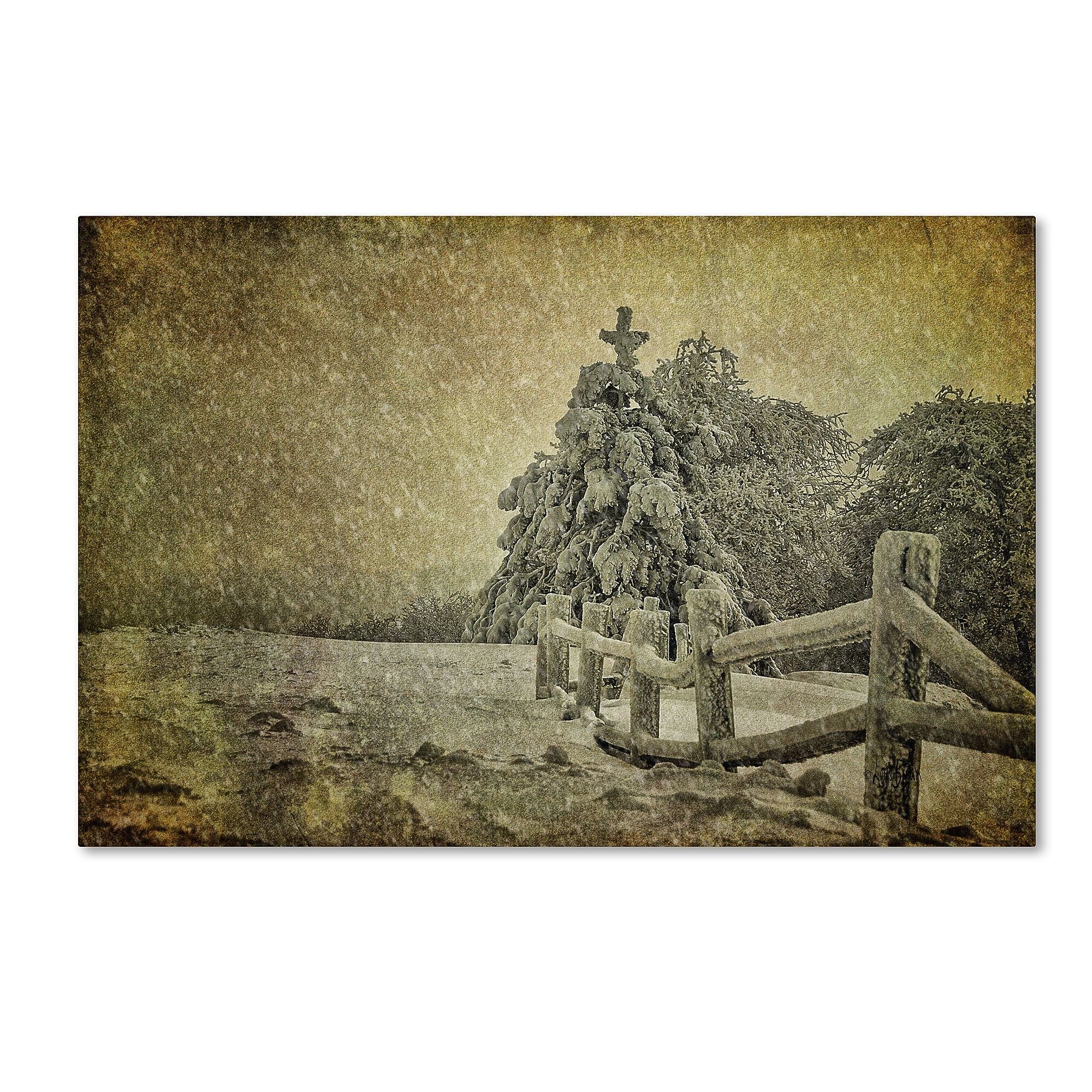 Trademark Fine Art LBR0273-C3047GG "Oh Christmas Tree in Snow" by Lois Bryan 30" x 47" Frameless Art