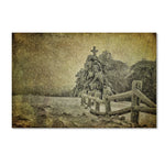 Trademark Fine Art LBR0273-C1219GG "Oh Christmas Tree in Snow" by Lois Bryan 12" x 19" Frameless Art