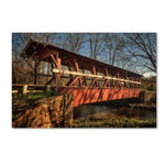 Trademark Fine Art LBR0288-C3047GG "The Colvin Covered Bridge" by Lois Bryan 30" x 47" Frameless Art