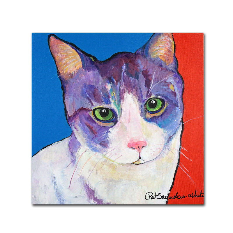 Trademark Fine Art PS128-C1818GG "Nugget" by Pat Saunders-White 18" x 18" Frameless Art