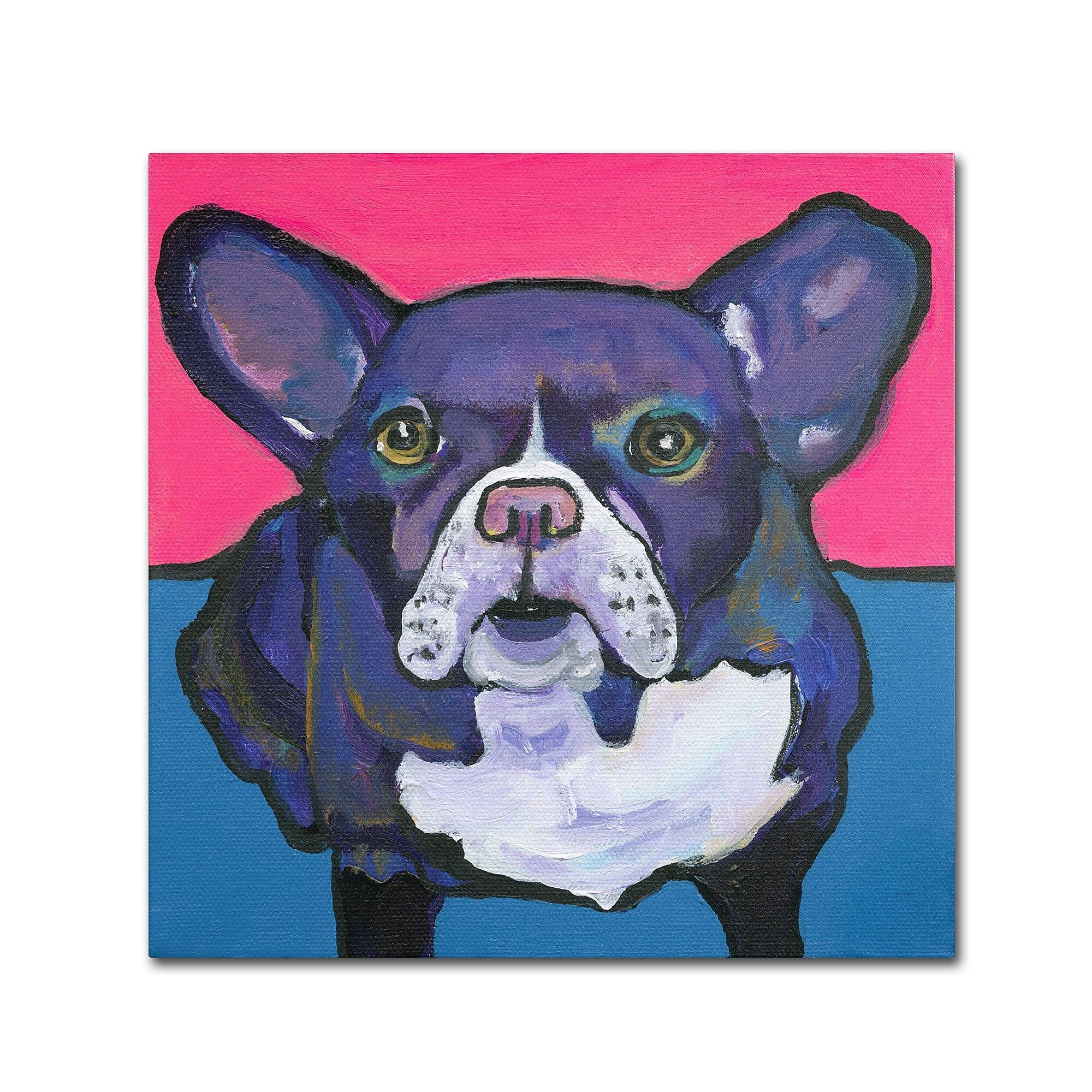 Trademark Fine Art PS132-C1818GG "Radar" by Pat Saunders-White 18" x 18" Frameless Art