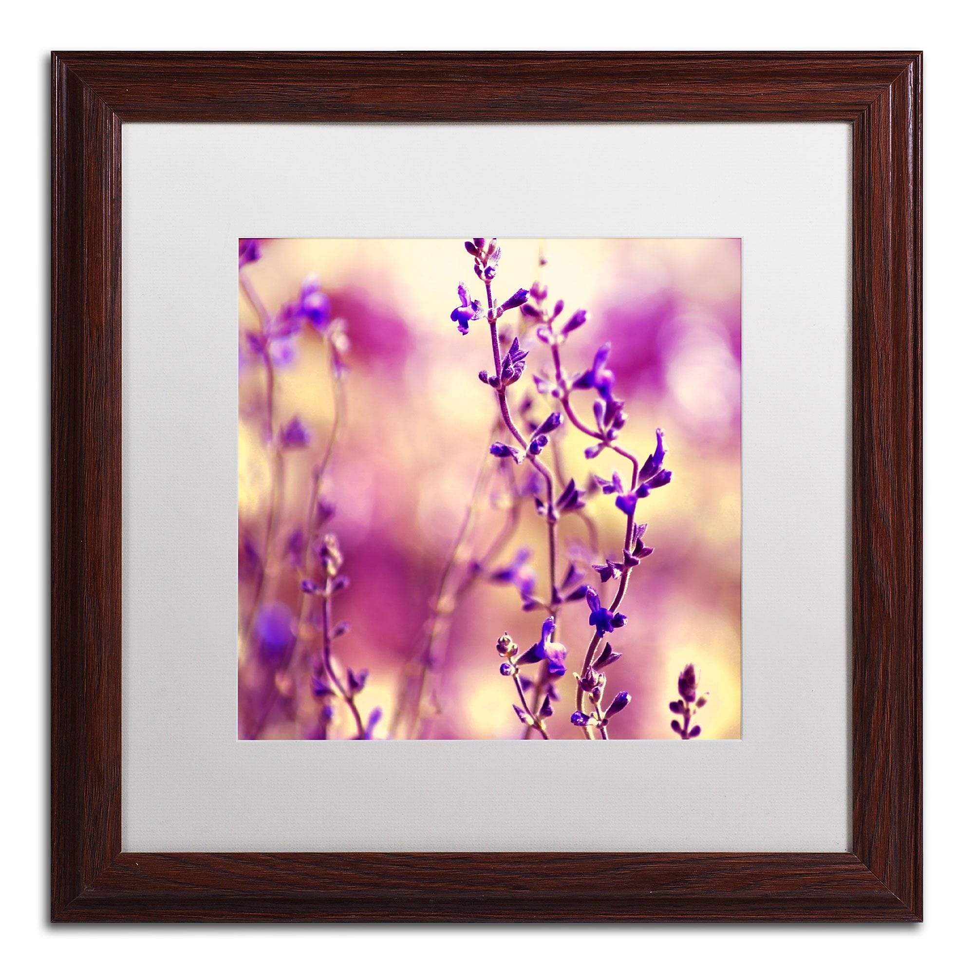 Trademark Fine Art BC0145-W1616MF Summer Melodies by Beata Czyzowska Young 16x16 FRM Art, WHT MTD