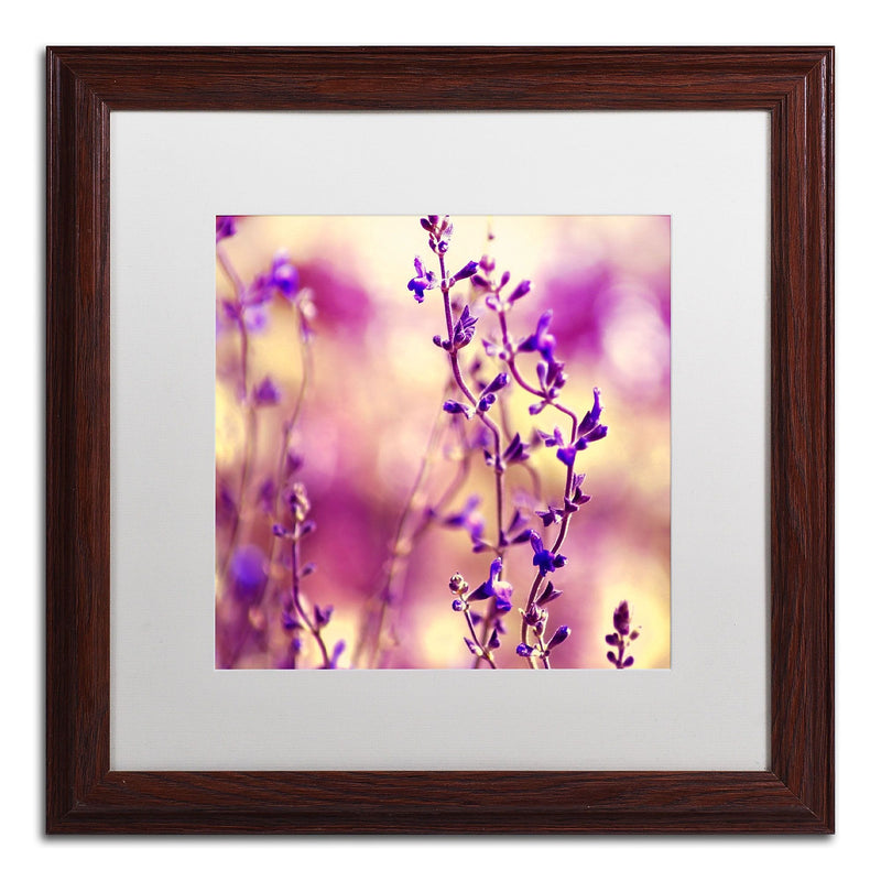 Trademark Fine Art BC0145-W1616MF Summer Melodies by Beata Czyzowska Young 16x16 FRM Art, WHT MTD