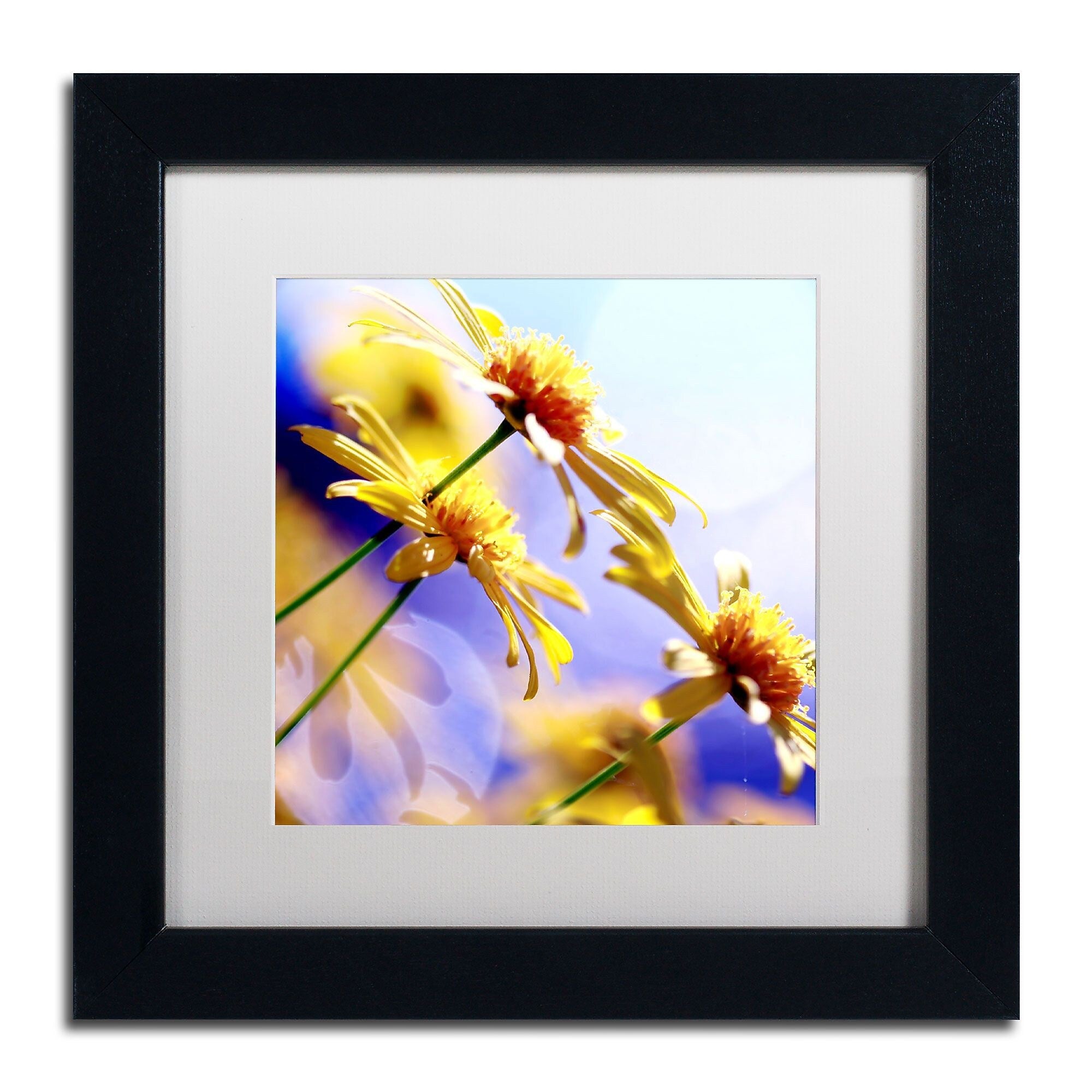 Trademark Fine Art BC0147-B1111MF "Sunny Days" by Beata Czyzowska Young 11" x 11" FRM Art, WHT MTD