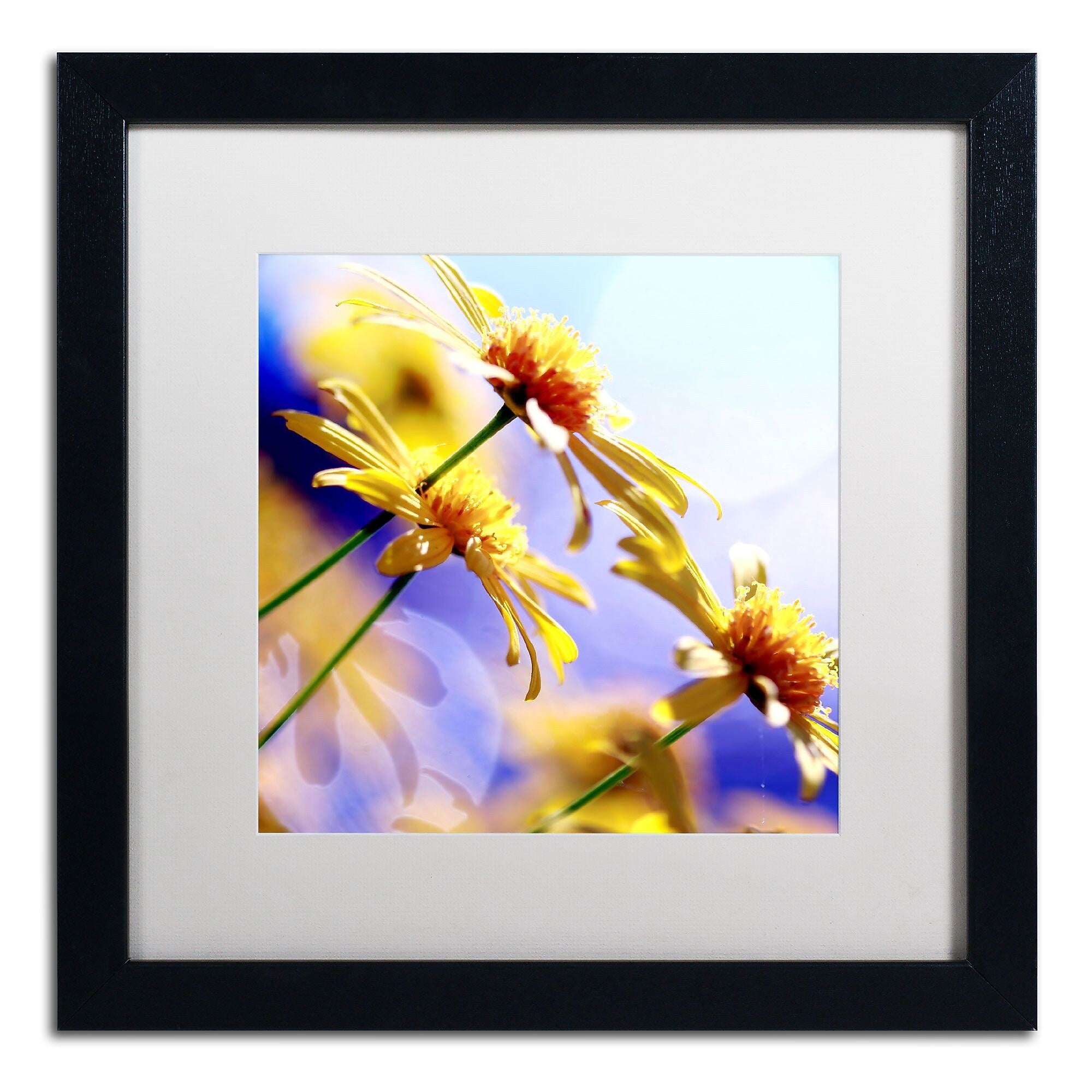 Trademark Fine Art BC0147-B1616MF "Sunny Days" by Beata Czyzowska Young 16" x 16" FRM Art, WHT MTD