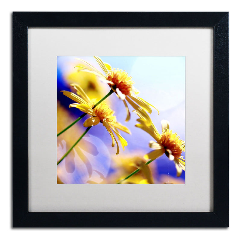 Trademark Fine Art BC0147-B1616MF "Sunny Days" by Beata Czyzowska Young 16" x 16" FRM Art, WHT MTD
