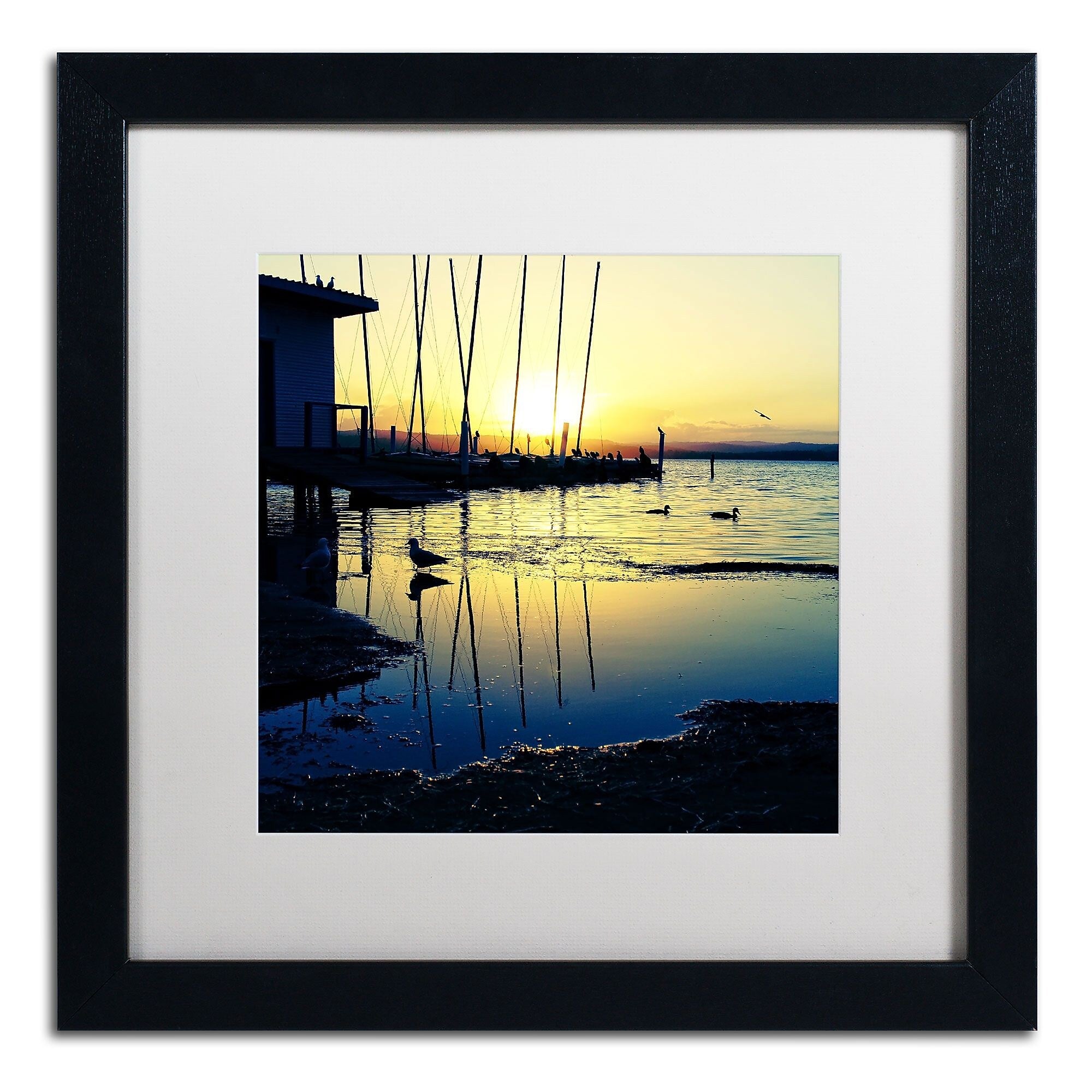 Trademark Fine Art Sunset Conversations by Beata Czyzowska Young 16x16 FRM Art, WHT MTD (BC0149-B1616MF)