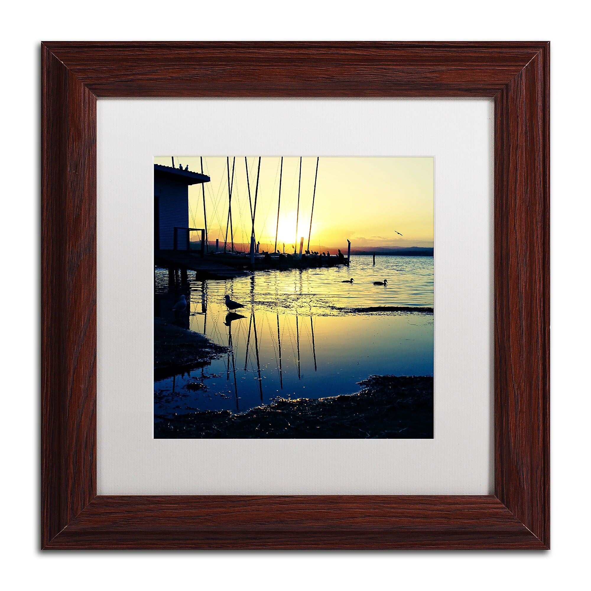 Trademark Fine Art Sunset Conversations by Beata Czyzowska Young 11x11 FRM Art, WHT MTD (BC0149-W1111MF)