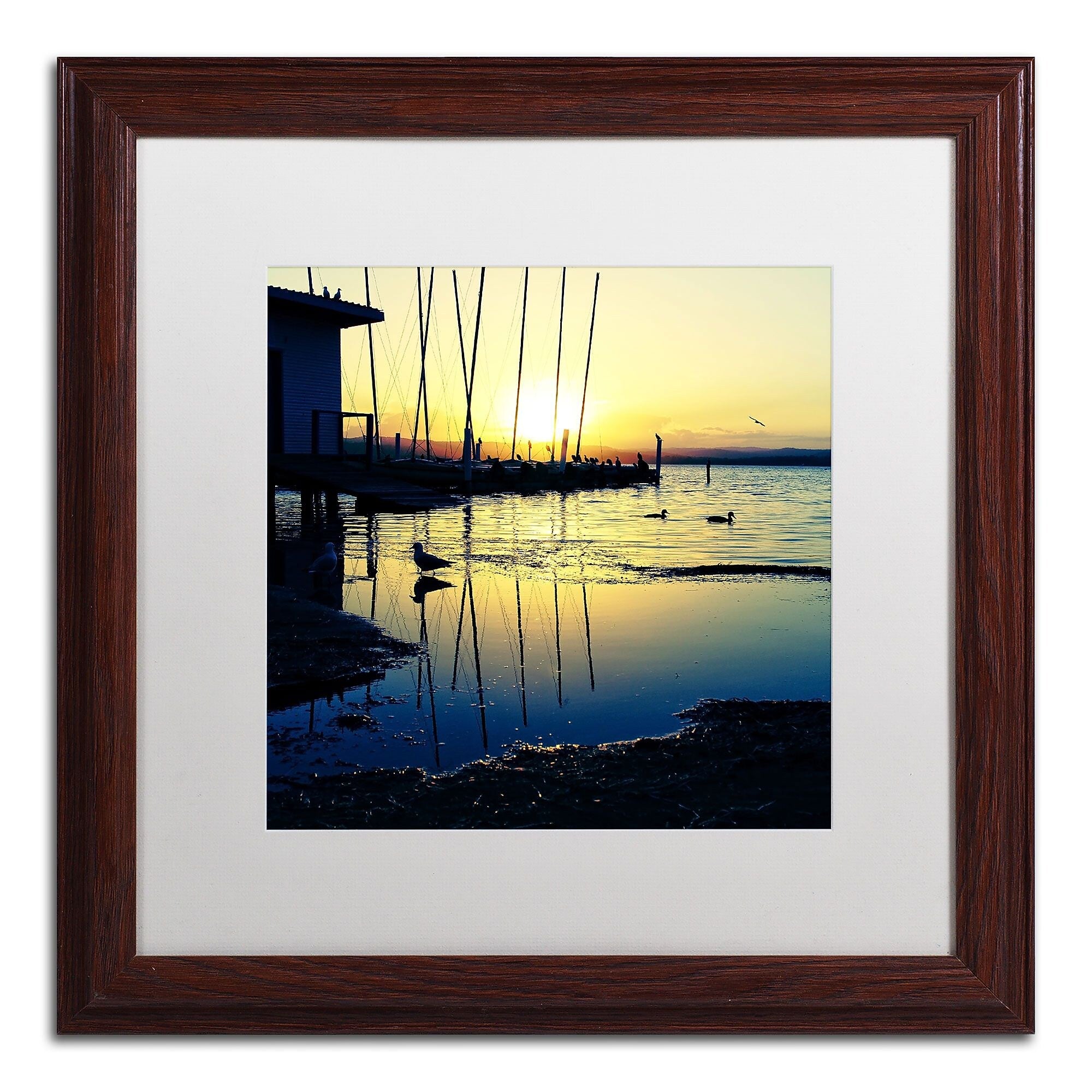 Trademark Fine Art Sunset Conversations by Beata Czyzowska Young 16x16 FRM Art, WHT MTD (BC0149-W1616MF)