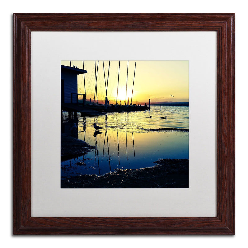 Trademark Fine Art Sunset Conversations by Beata Czyzowska Young 16x16 FRM Art, WHT MTD (BC0149-W1616MF)