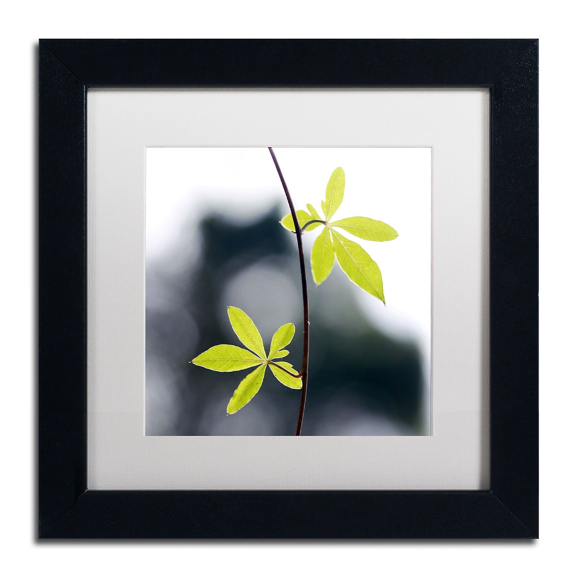 Trademark Fine Art BC0153-B1111MF "Two of Us" by Beata Czyzowska Young 11" x 11" Framed Art, WHT MTD