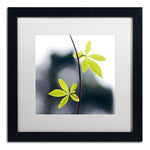 Trademark Fine Art BC0153-B1616MF "Two of Us" by Beata Czyzowska Young 16" x 16" Framed Art, WHT MTD