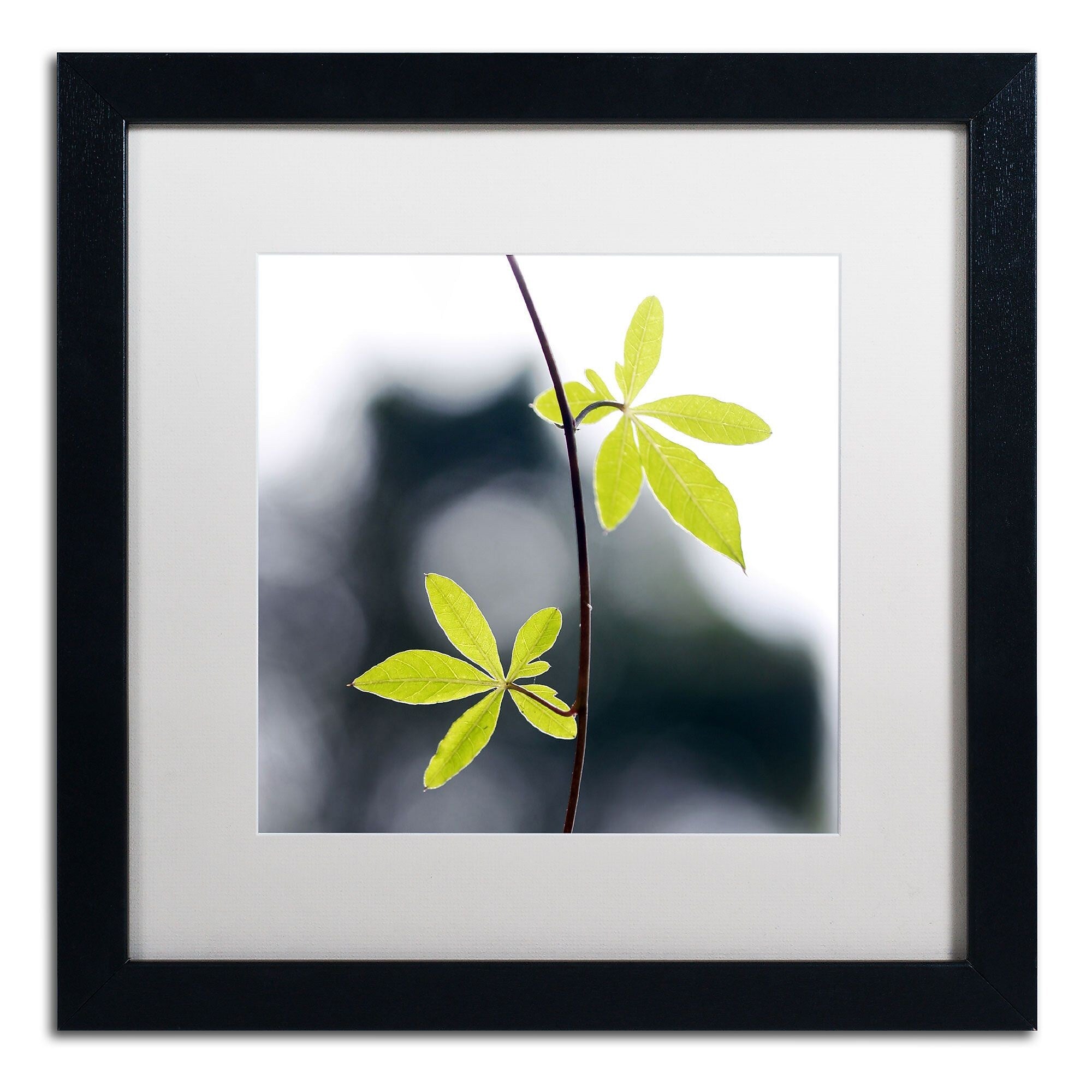 Trademark Fine Art BC0153-B1616MF "Two of Us" by Beata Czyzowska Young 16" x 16" Framed Art, WHT MTD