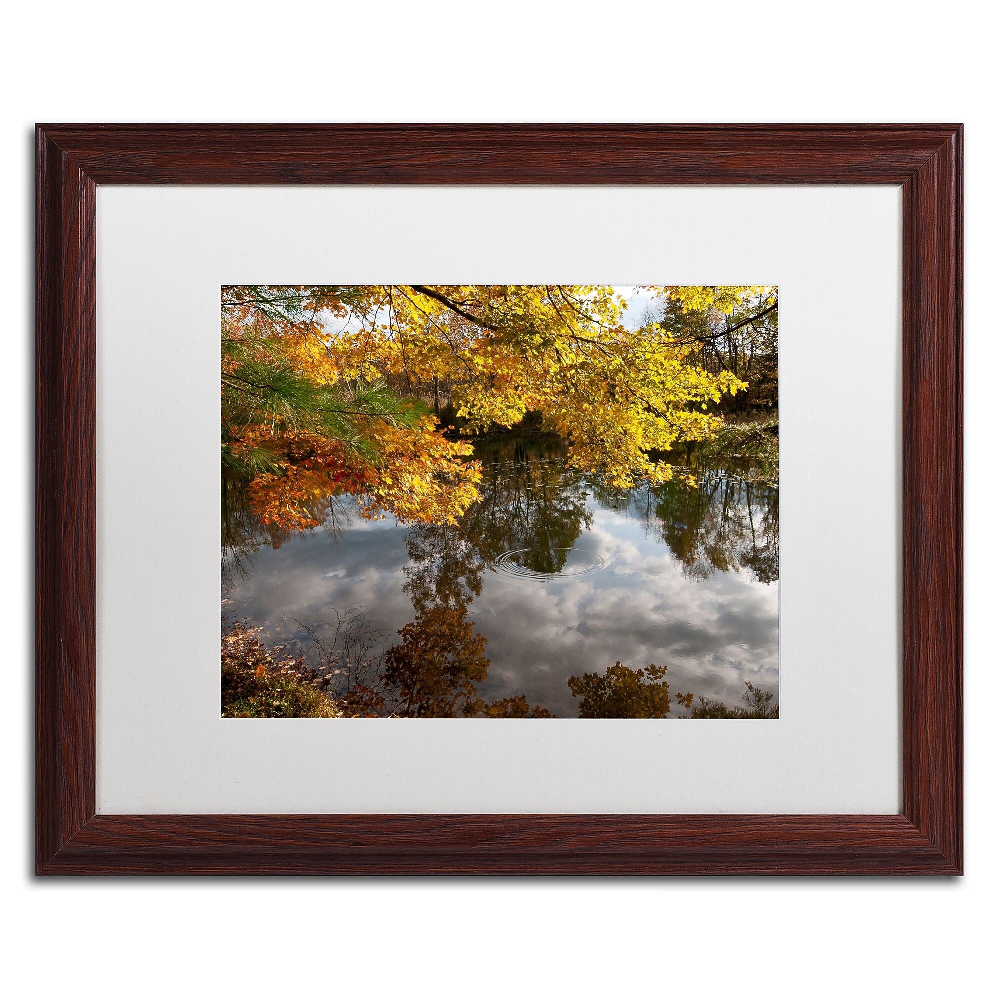 Trademark Fine Art KS0135-W1620MF "Kendal Lake Autumn" by Kurt Shaffer 16" x 20" Framed Art, WHT MTD
