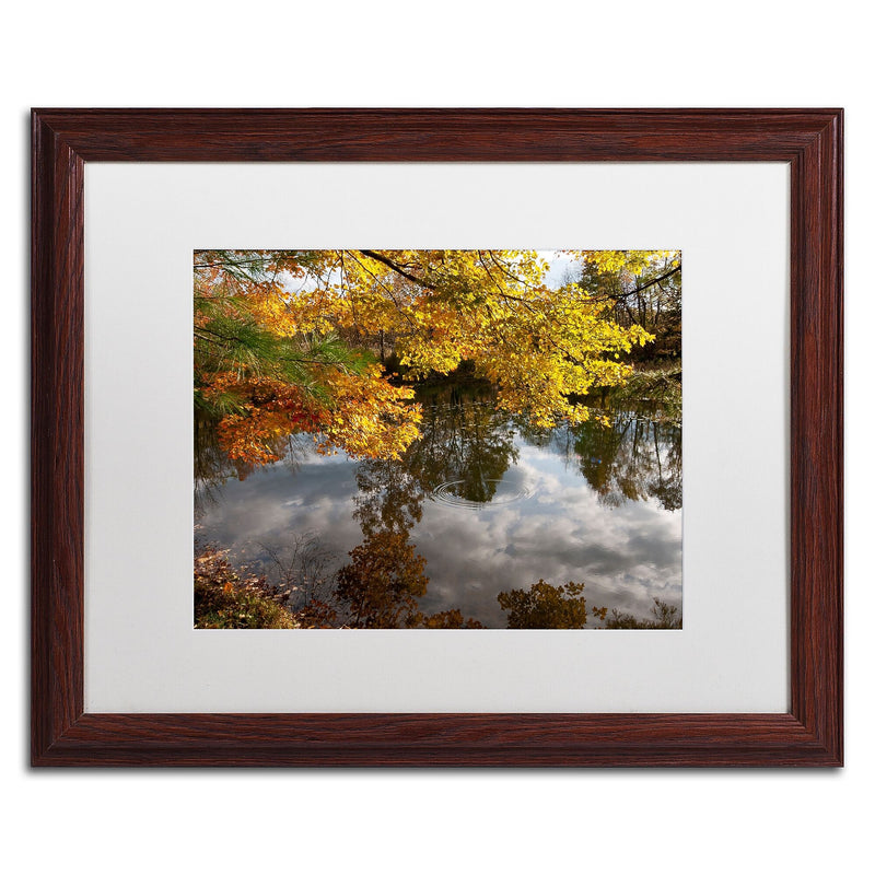 Trademark Fine Art KS0135-W1620MF "Kendal Lake Autumn" by Kurt Shaffer 16" x 20" Framed Art, WHT MTD