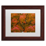 Trademark Fine Art KS0137-W1114MF "Autumn Maple Splendor" by Kurt Shaffer 11" x 14" FRM Art, WHT MTD