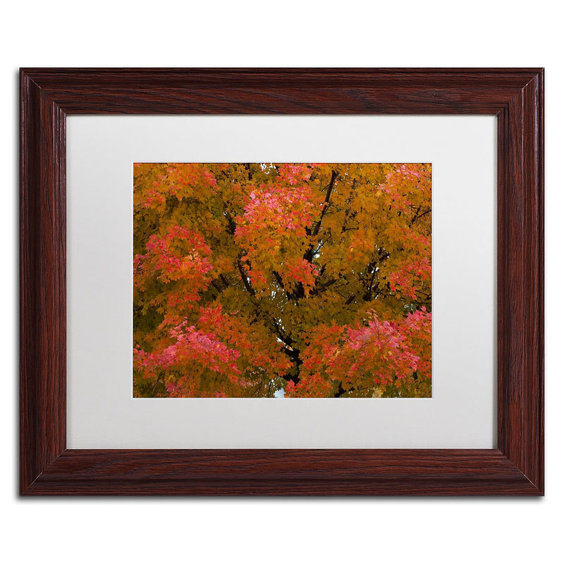 Trademark Fine Art KS0137-W1114MF "Autumn Maple Splendor" by Kurt Shaffer 11" x 14" FRM Art, WHT MTD